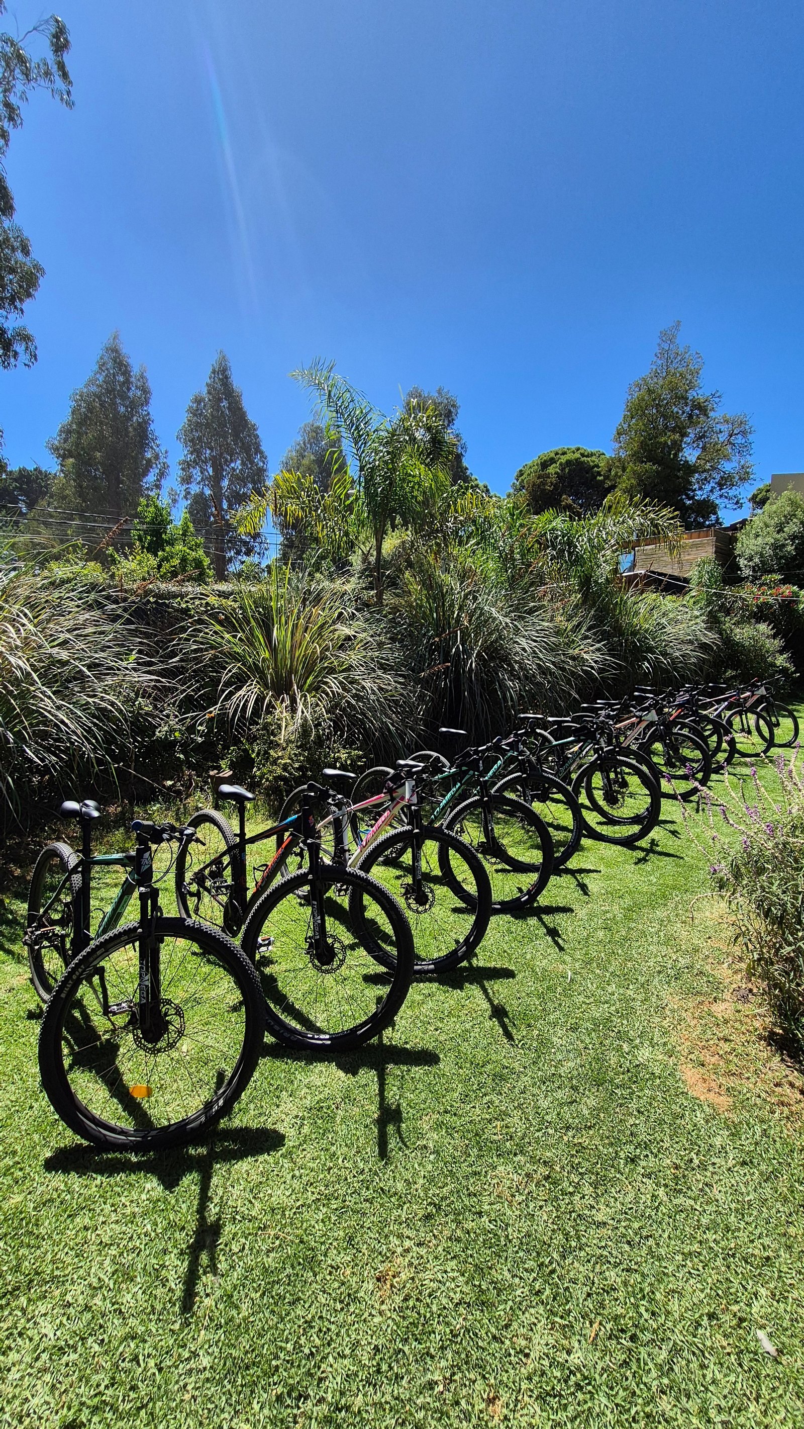 Bicicletas sierra